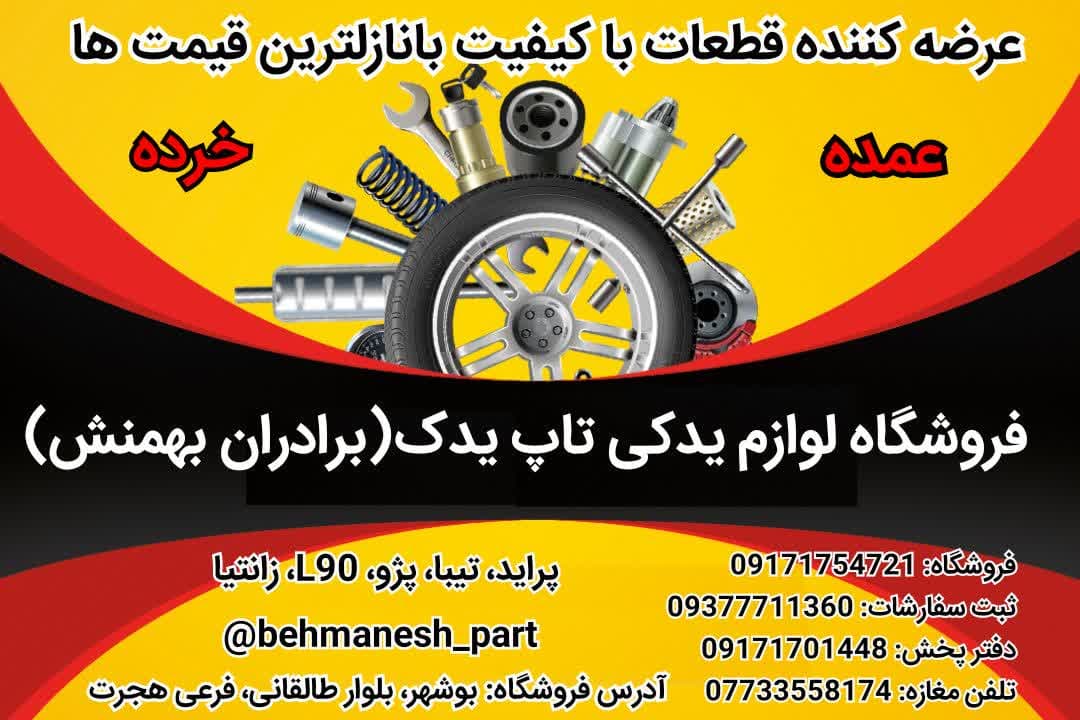 تیم برنامه نویسی و طراحی سایت مای لیان